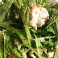 いっけっけ☆☆'s cooksnap of when they made 栄養たっぷり！カンタン水菜と豆腐のサラダ.