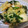 モグタソ's cooksnap of when they made 白エビと春菊のサクサクかき揚げ♪.