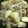 オールボン's cooksnap of when they made そぼろ肉じゃが.