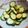 あたりめっこ's cooksnap of when they made きゅうりのあかり和え★.