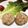 檸檬パン's cooksnap of when they made しいたけの鶏しゅうまい.