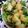 クック79BUO8☆'s cooksnap of when they made じゃがいもと豚肉のジャーマンポテト風.