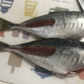 miwayon's cooksnap of when they made 鯵(小型)の簡単下処理.