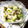 胃袋わっしょい's cooksnap of when they made 長いもとツナの白だしペッパー和風ナムル.
