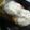 maruru-nn's cooksnap of when they made サーモンのソテー♪マスタードソース.