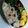 はっぴーはりぼ's cooksnap of when they made おじゃるまるお弁当.