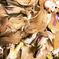 ぐーぐーさとぽん's cooksnap of when they made ツナと大根とシメジの炒め煮♪常備菜・副菜.