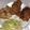 クックQULPYE☆'s cooksnap of when they made 鳥の唐揚げ②.