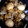 シェリーlᵒᵛᵉϋෆ's cooksnap of when they made とろとろ新玉ねぎと豚バラ大根の煮物.