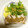 クック0ZH0A0☆'s cooksnap of when they made ほったらかしの煮豚.