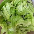 マトリョーシカ1号's cooksnap of when they made 包丁いらず！レタスときゅうりの塩昆布もみ.