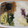きらり流れ星's cooksnap of when they made 簡単☆ニラの玉子とじ めんつゆのみ.