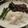 YuMy84's cooksnap of when they made いつもの炒めケール。.