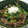 oみぃちゃんo's cooksnap of when they made 豚肉＆しめじのマヨ丼◆簡単！.