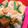 （＊あωや＊）'s cooksnap of when they made 厚揚げの親子丼風.