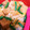 （＊あωや＊）'s cooksnap of when they made 厚揚げの親子丼風.