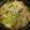 ずえかわ's cooksnap of when they made 激うま！★特製ホルモン鍋.