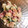 ぱんだ170071's cooksnap of when they made 簡単おつまみサラダ　梅マヨきゅうり.
