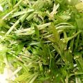 yoyoさん's cooksnap of when they made 水菜と貝柱のごま油風味サラダ。和えるだけ.