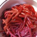 クックI67X7R☆'s cooksnap of when they made ハロウィン　ミミズゼリーのリアルな恐怖！.