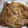 クックA9C9DK☆'s cooksnap of when they made 失敗しないしょうが焼き。.