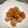 ジョングレ's cooksnap of when they made 砂肝の甘辛煮.