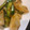〜遊馬子〜's cooksnap of when they made イカときゅうりのオイスターソース炒め.