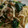 yuriレシピ's cooksnap of when they made ほうれん草ときのこの和風パスタ.