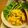 ぷりんぱんだ's cooksnap of when they made かぼちゃの黄色いサラダ♪.