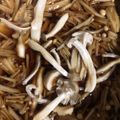 たるらりら's cooksnap of when they made 簡単！手作りなめたけ.