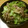 いちごトンプソン's cooksnap of when they made きのことレタスの和風サラダ.