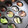 クック2U31E5☆'s cooksnap of when they made タコ焼き器で簡単アヒージョ.