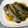 ☆ありか358☆'s cooksnap of when they made いわしの生姜煮.