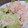 amadokoro's cooksnap of when they made ☆もやしとレタスのシャキシャキサラダ☆.