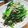 ୨୧•͈ᴗ•͈NON's cooksnap of when they made 低糖質 無限小松菜.