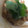 ma___111's cooksnap of when they made マヨ納豆 with 粗挽き黒胡椒.