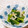 クックI7I5L1☆'s cooksnap of when they made れんこんと小松菜のからし酢味噌和え.
