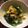 しのざくら's cooksnap of when they made 小松菜とツナのサラダ.