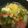 ☆マカロンmama☆'s cooksnap of when they made キャベツと水菜の卵スープ.