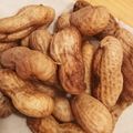 クックぼんぬ's cooksnap of when they made 生落花生　基本の茹で方.