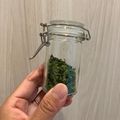 Sゆうこりん's cooksnap of when they made 乾燥パセリ♪～オーブンで大量.
