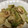 よしみたん♡'s cooksnap of when they made いかとキャベツのソース炒め.