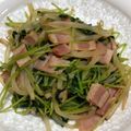 はやぴー＊'s cooksnap of when they made もやしと豆苗のオイスターソース炒め.