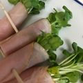 かたさん☆彡's cooksnap of when they made お弁当におつまみに☆カイワレのハム巻き.