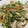 なるこォ's cooksnap of when they made 豚肉と豆苗と野菜のオイスター炒め.