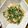 ひこモチ's cooksnap of when they made レンジで簡単！サバと豆苗の卵炒め.