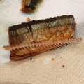 ちっちにゃん☆'s cooksnap of when they made あれ？骨ないよ？ぶつ切り秋刀魚の唐揚げ.