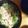 セレナ✨'s cooksnap of when they made 豚肉と豆苗のスープしゃぶしゃぶ.