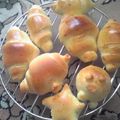 明日見's cooksnap of when they made ロールパン.