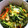 キャラメグ♪'s cooksnap of when they made 簡単♪豆苗と卵の炒め物.